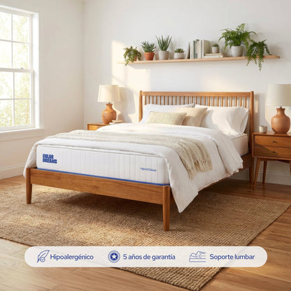 Colchón Matrimonial Hybrid Deluxe 25cm - ColorDreams