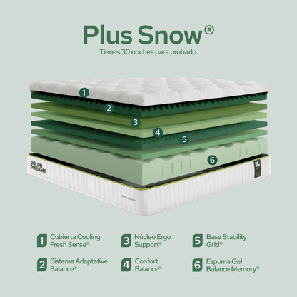 Colchón Queen Snow Plus Foam 23cm - ColorDreams